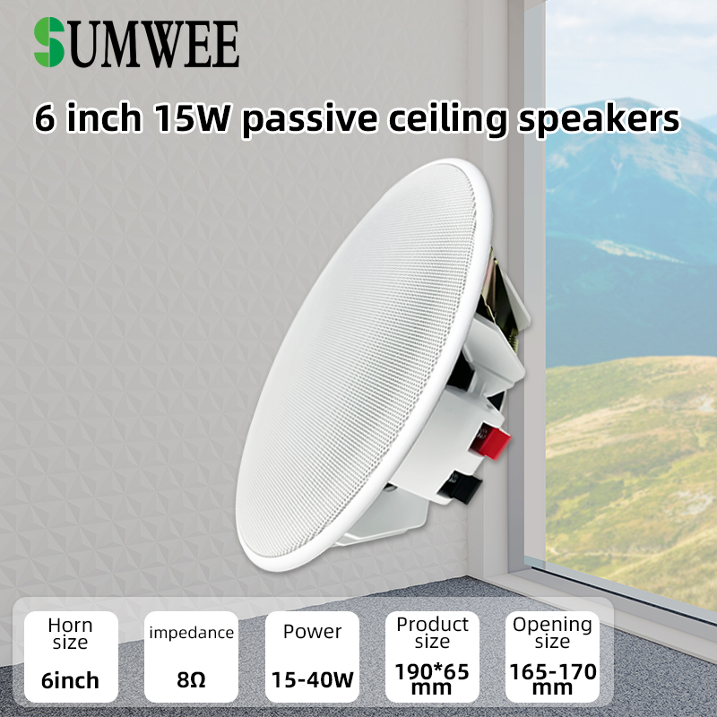 Audio Music System For Home - Altavoz de Techo de 6 Pulgadas