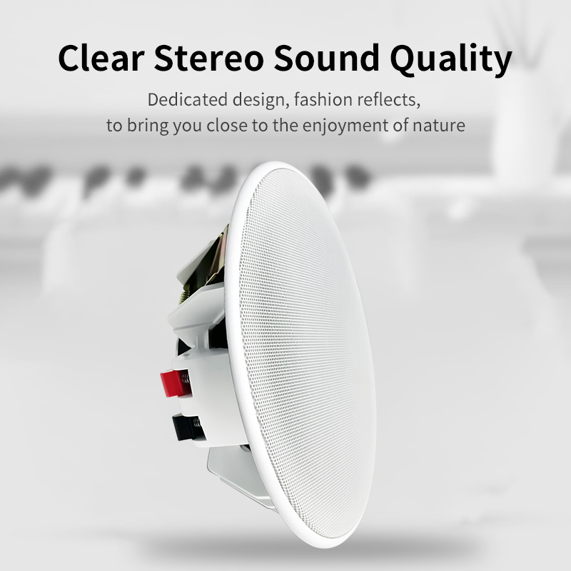Altavoz de Techo de 6 Pulgadas - Audio Music System For Home reseña y precio