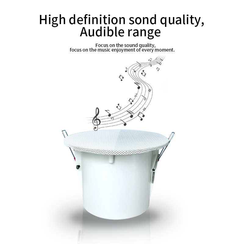 Altavoces de techo con sistema - Audio Music System For Home reseña y precio