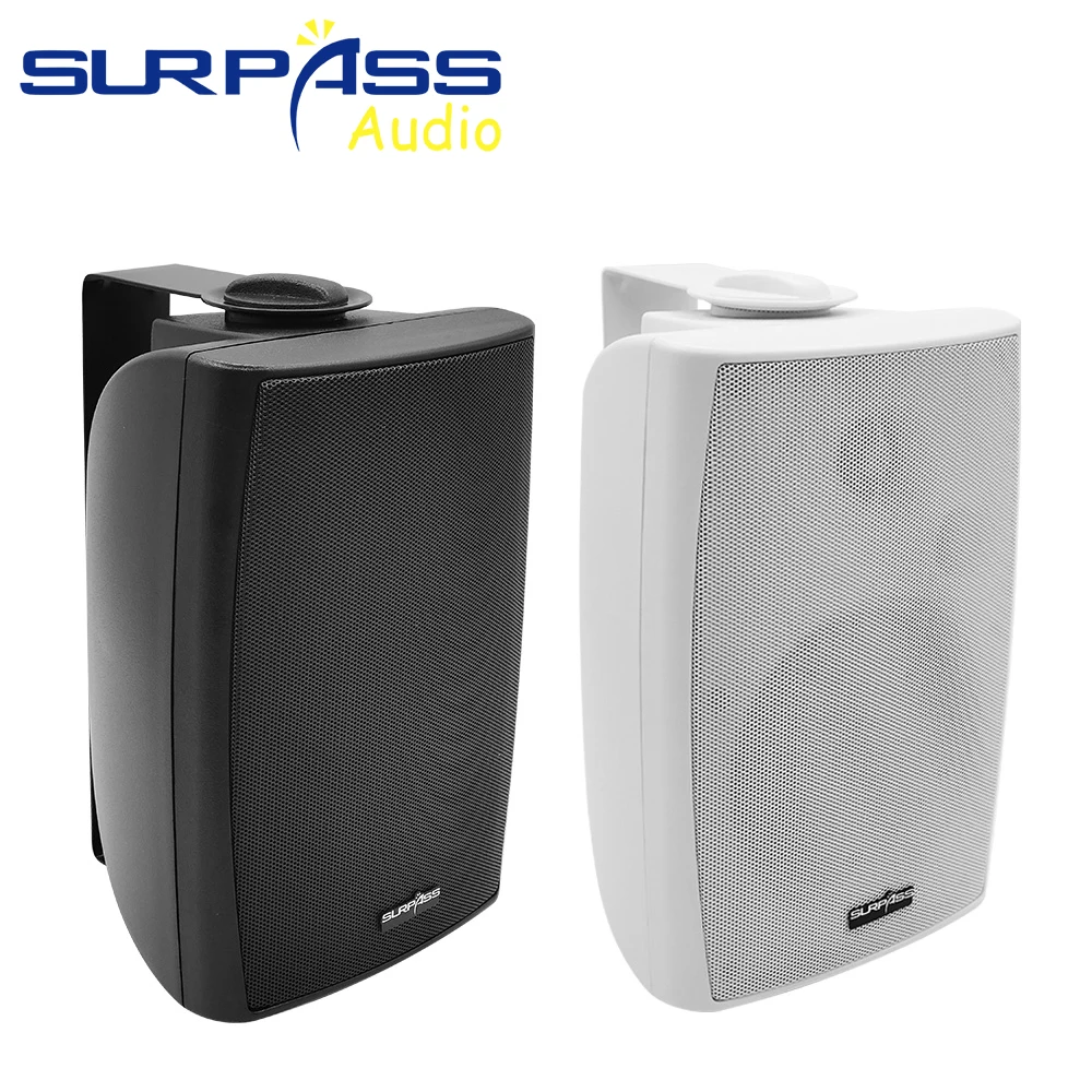 Sistema PA Altavoz de montaje  - Audio Music System For Home reseña y precio