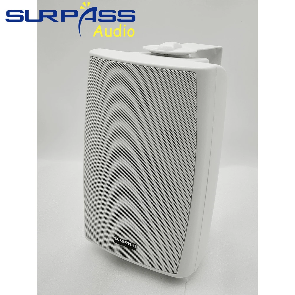 Sistema PA Altavoz de montaje  - Audio Music System For Home reseña y precio