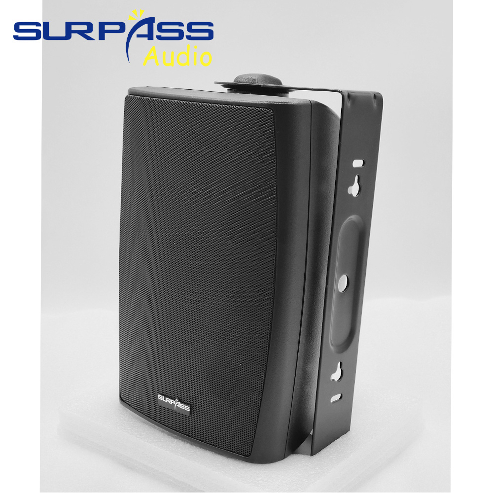Sistema PA Altavoz de montaje  - Audio Music System For Home reseña y precio