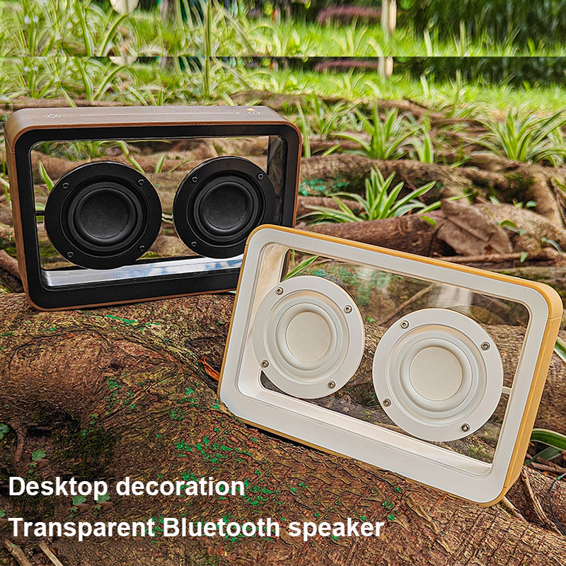 Altavoz Bluetooth transparente - Amazon Music Audio Quality reseña y precio