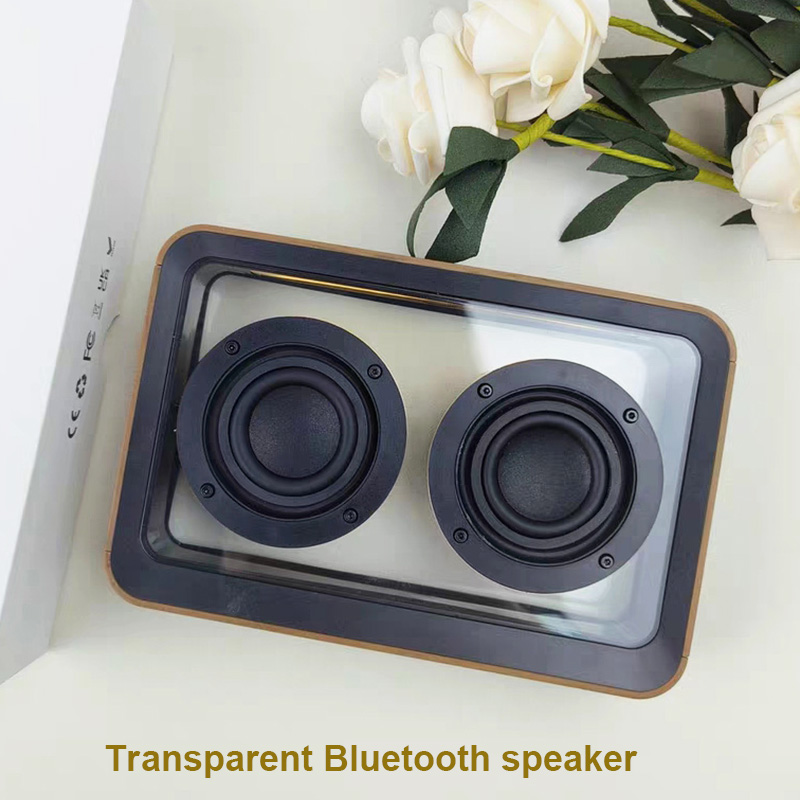 Altavoz Bluetooth transparente - Amazon Music Audio Quality reseña y precio