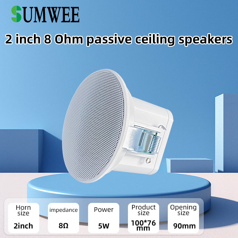 Mini Altavoz de Techo de 2 Pul - Audio Music System For Home reseña y precio