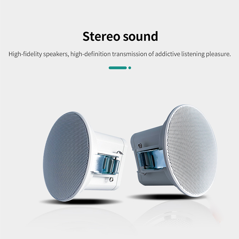 Mini Altavoz de Techo de 2 Pul - Audio Music System For Home reseña y precio
