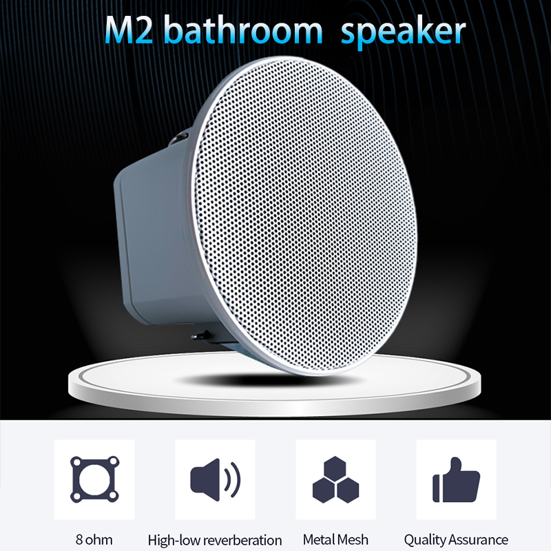 Mini Altavoz de Techo de 2 Pul - Audio Music System For Home reseña y precio
